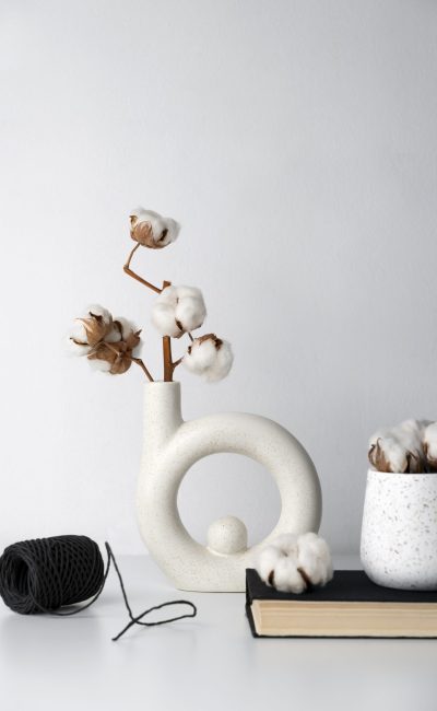fluffy-cotton-plant-vase-used-interior-decor